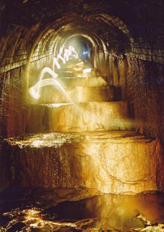 ����� ��������� ���������