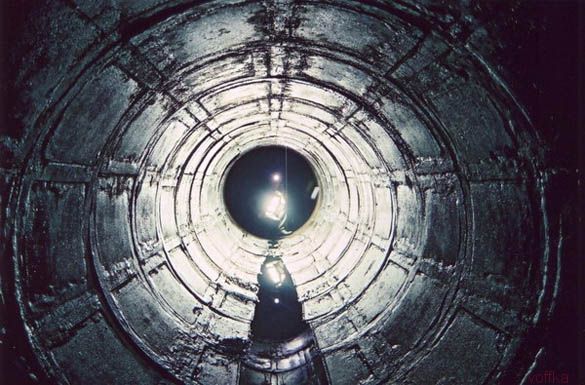 ����� ��������� ���������