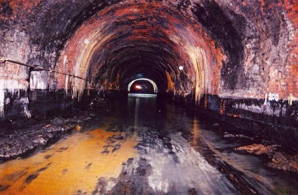 ����� ��������� ���������