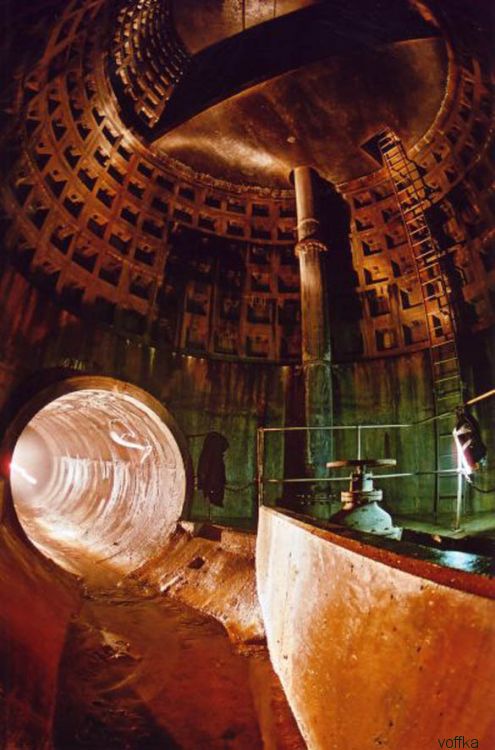 ����� ��������� ���������