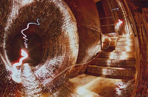 ����� ��������� ���������