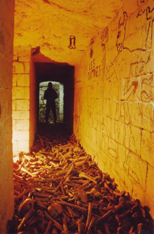 ����� ��������� ���������