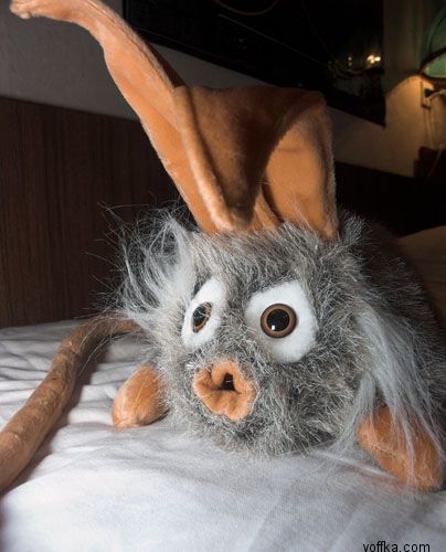 ���������� �������������