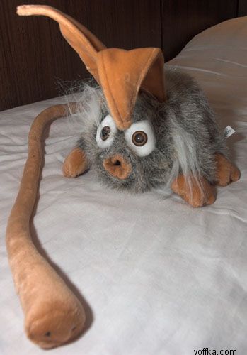 ���������� �������������