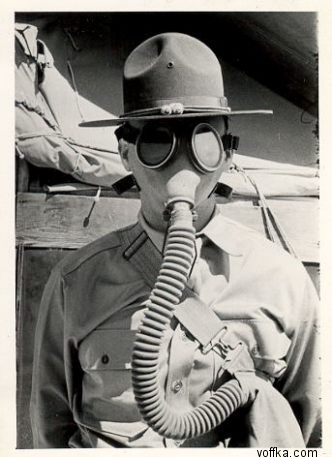 ������� ������ ���������� ����