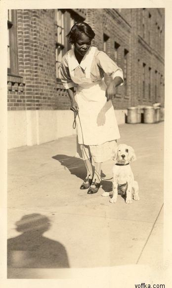 ������� ������ ���������� ����