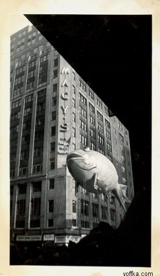 ������� ������ ���������� ����