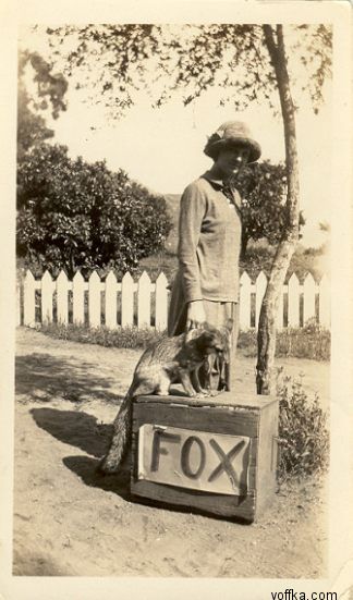 ������� ������ ���������� ����