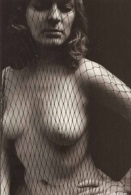 ��������� �������