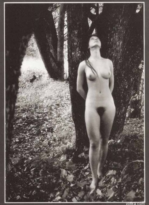 ��������� �������