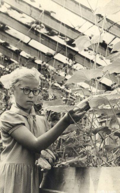 ���� �� ����