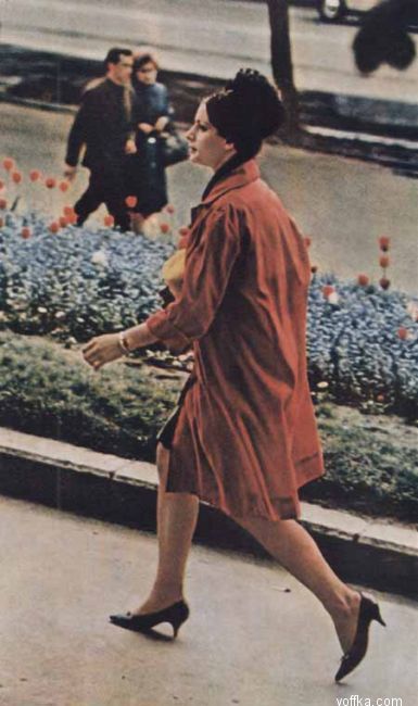 ���� �� ����