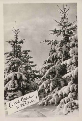 ��������� ���������� ��������