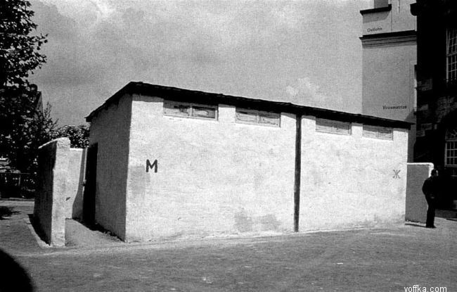 ���� �� ����