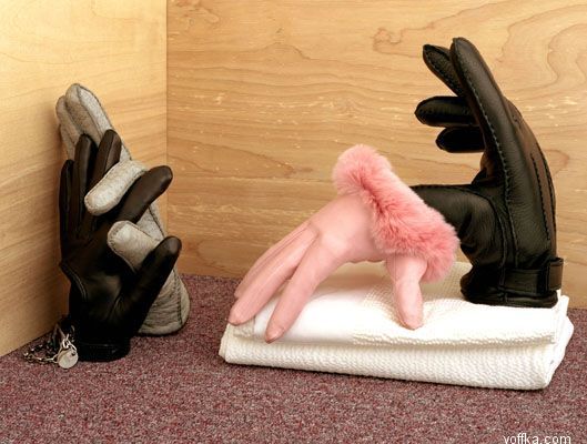 ���������: ����, ��� ����