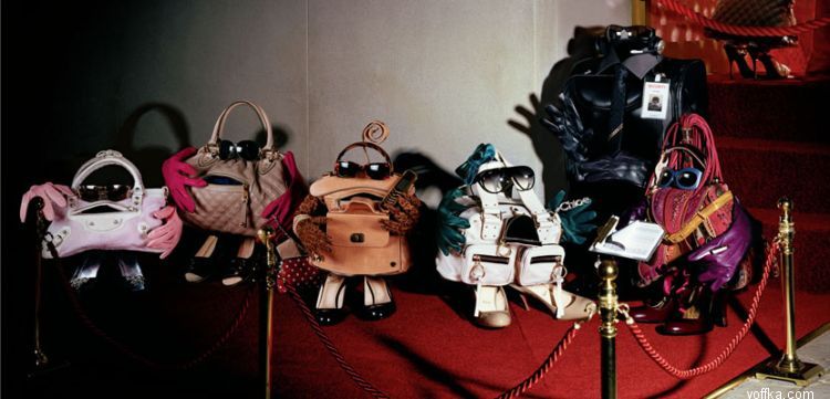 ���������: ����, ��� ����