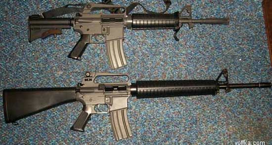 ������ ���� �������