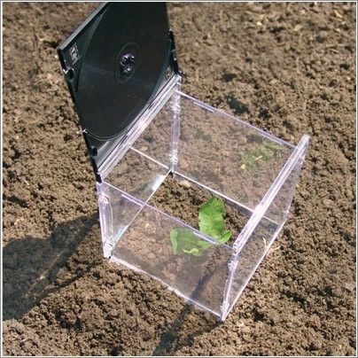 �������� �����������