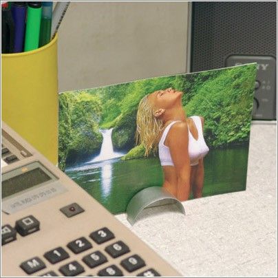 �������� �����������