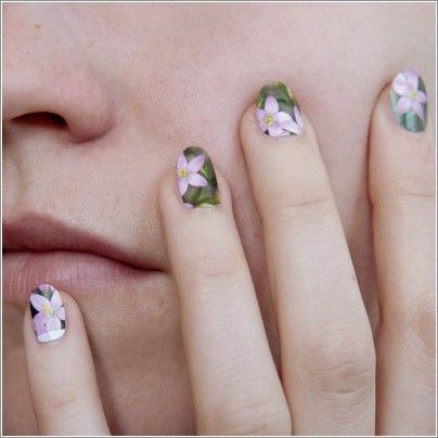 �������� �����������