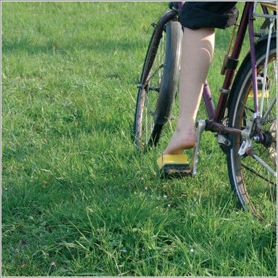 �������� �����������