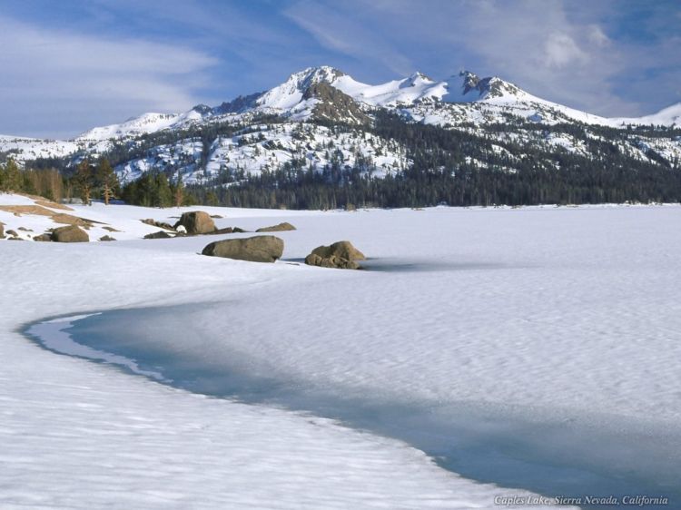 ������ ����