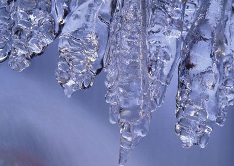 ������ ����