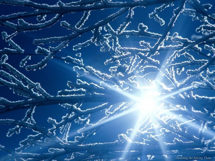 ������ ����