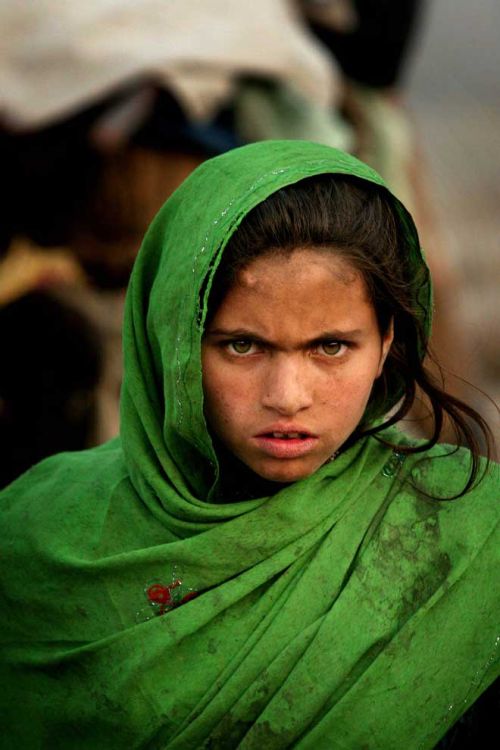 World Press Photo of the Year 2005