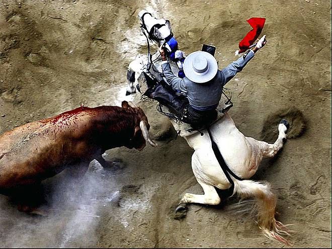 World Press Photo of the Year 2005