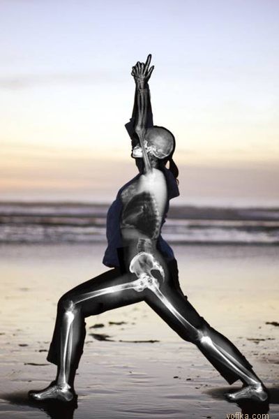 �������� ����������