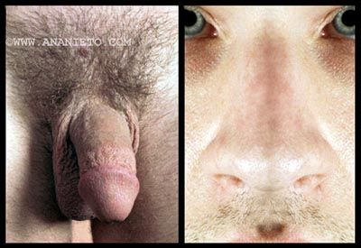 ��� �� ����� ���� ���������� ����� �����