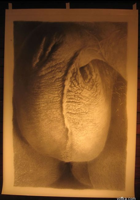 Современное искусство - яйца