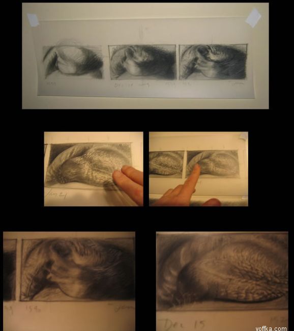 Современное искусство - яйца