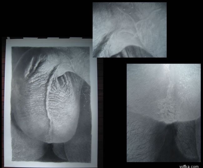 Современное искусство - яйца