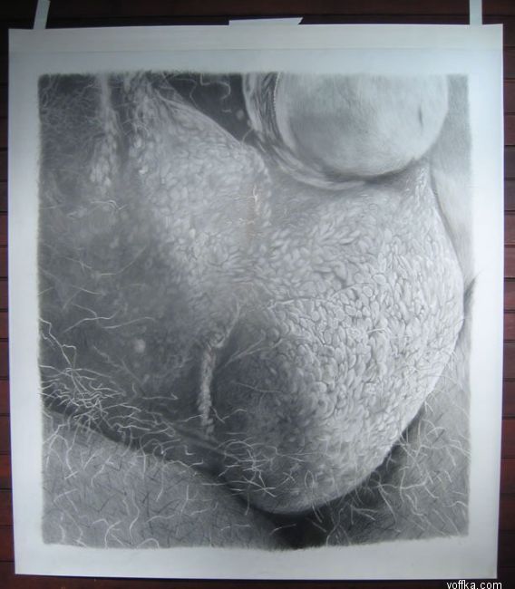 Современное искусство - яйца