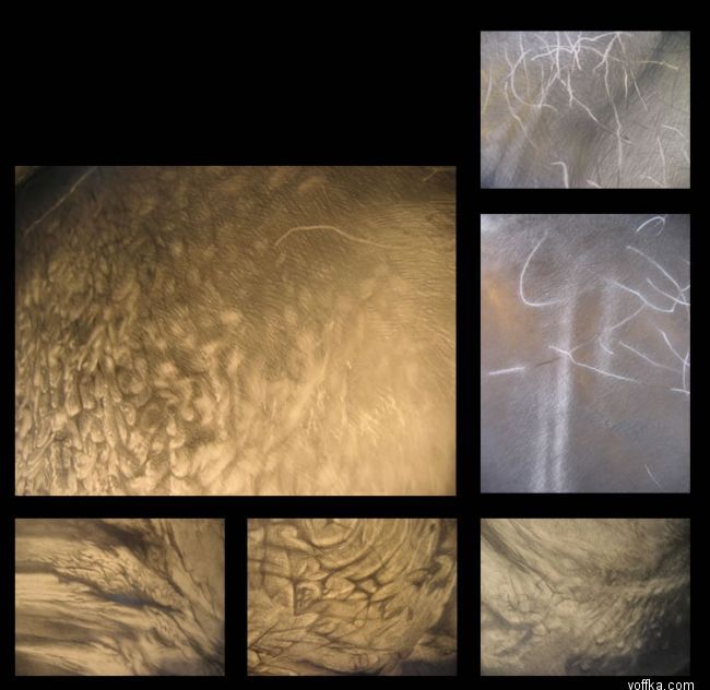 Современное искусство - яйца