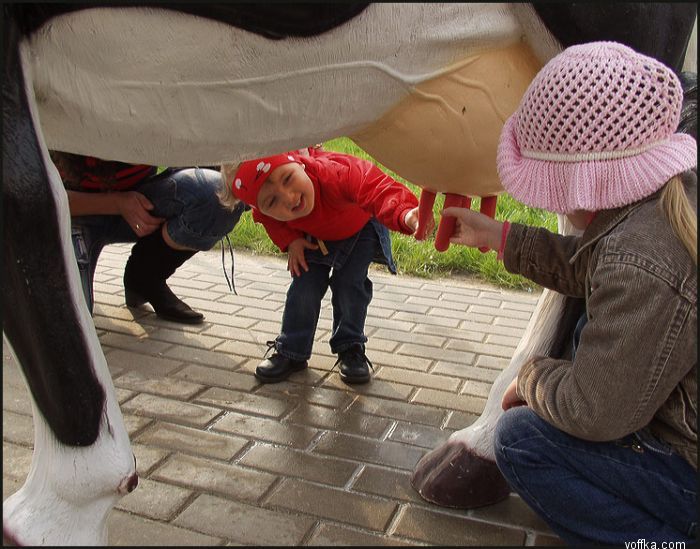 �������� ����� � ������