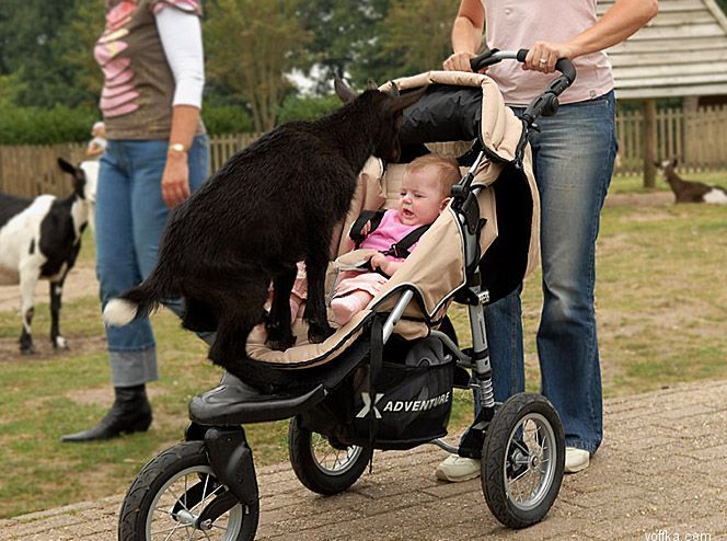 �������� ����� � ������