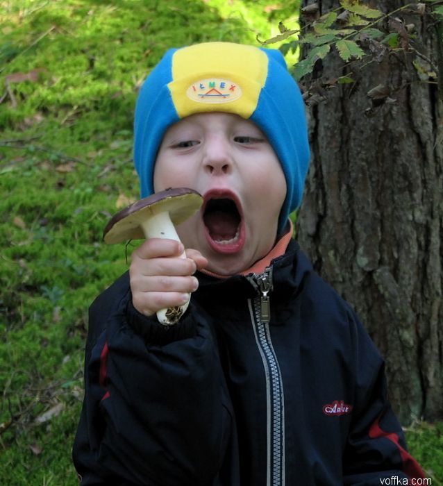 �������� ����� � ������