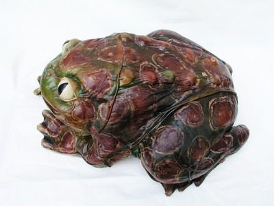 ������� ���