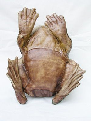 ������� ���