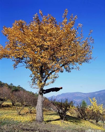 Законы физики не для нас