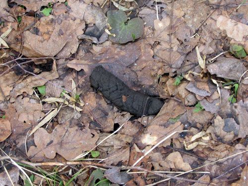 ������������� ����������