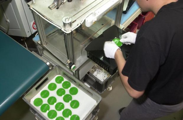 ����� �� ������ ������� �������� xbox � �������