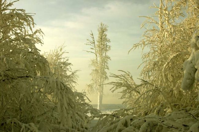 ����. �������!