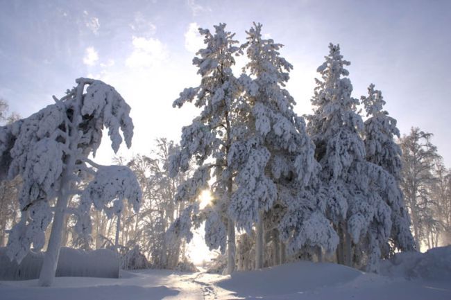 ����. �������!