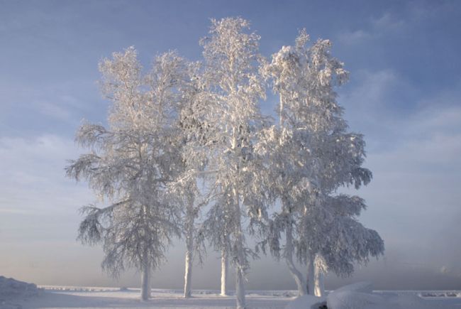 ����. �������!