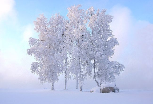 ����. �������!