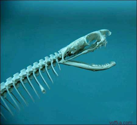 ��e���� ����